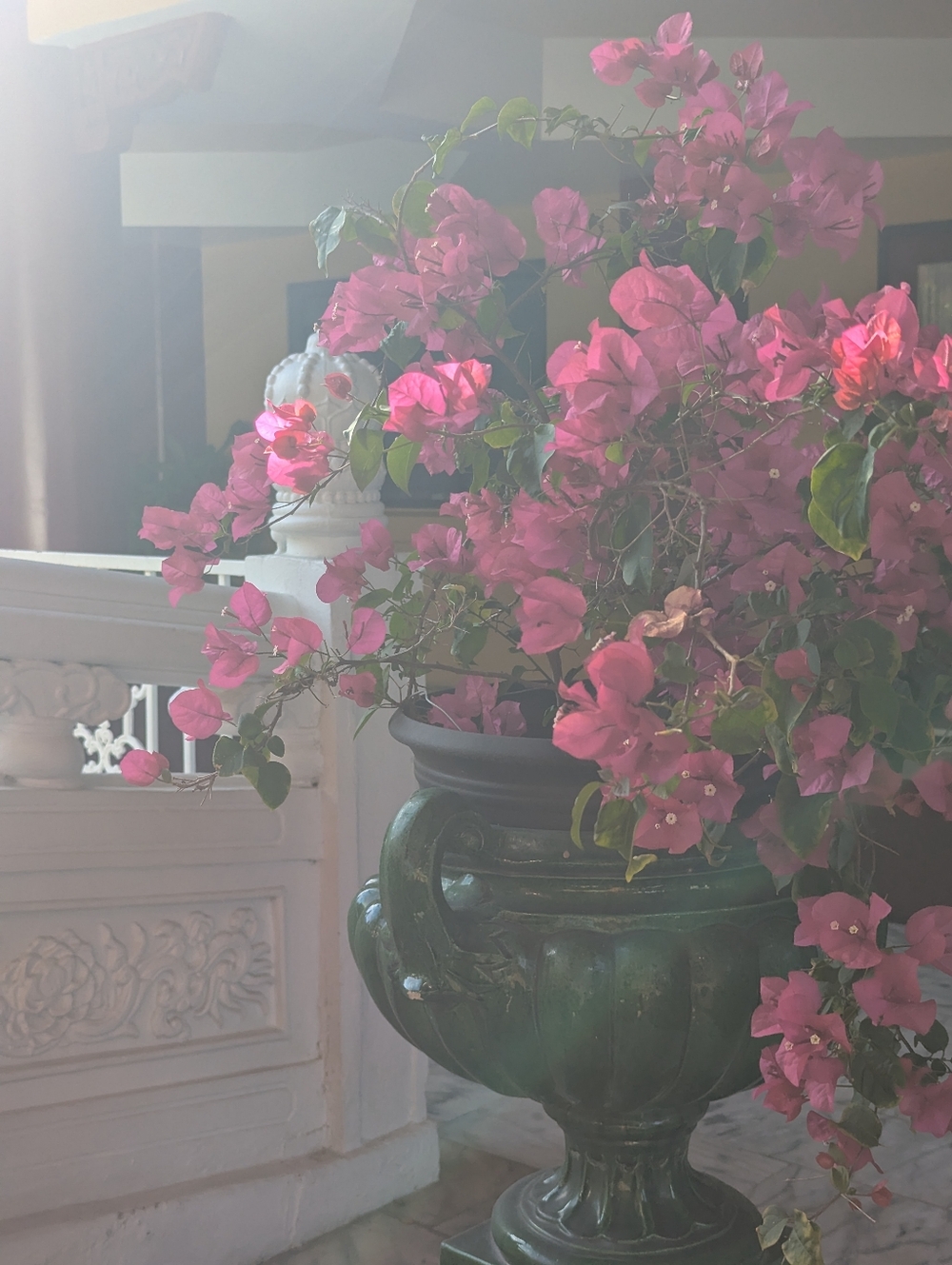 Meet your Posher, Iman